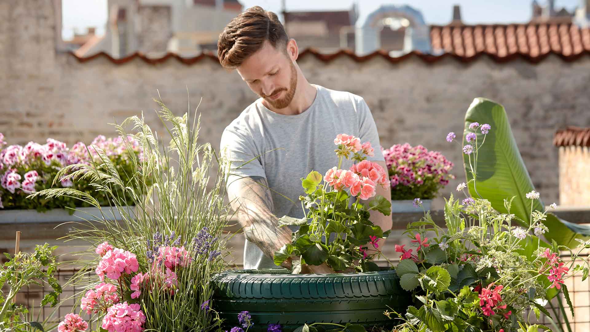 Landscaping services